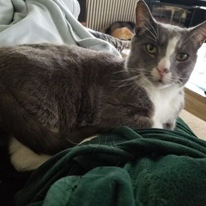 Meet your Posher, Christine